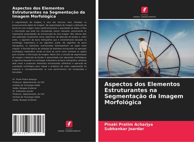 Aspectos dos Elementos Estruturantes na Segmentação da Imagem Morfológica
