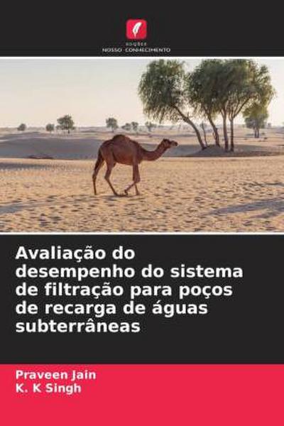 Avaliação do desempenho do sistema de filtração para poços de recarga de águas subterrâneas