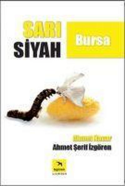 Sari Siyah Bursa
