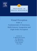 Visual Perception Part 2