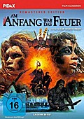 Am Anfang war das Feuer