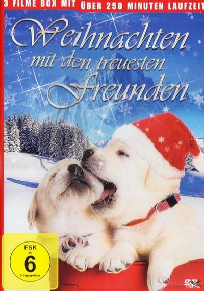 Weihnachts Hundebox Weihnachtsedition