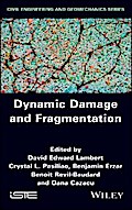 Dynamic Damage and Fragmentation