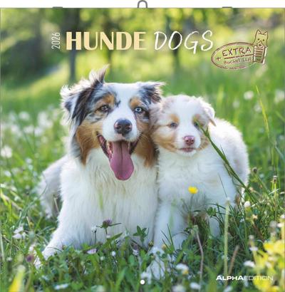 Hunde 2026 - Broschürenkalender 30x30 cm (30x60 geöffnet) - Kalender mit Platz für Notizen - Dogs - Bildkalender - Wandkalender - Hundekalender