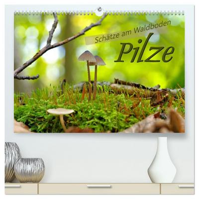 Pilze - Schätze am Waldboden (hochwertiger Premium Wandkalender 2026 DIN A2 quer), Kunstdruck in Hochglanz