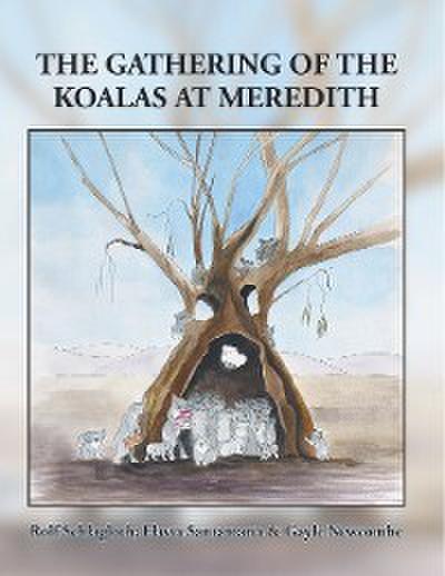 The Gathering of the Koalas at Meredith