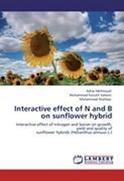 Interactive effect of N and B on sunflower hybrid