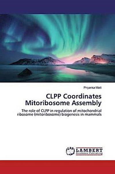 CLPP Coordinates Mitoribosome Assembly