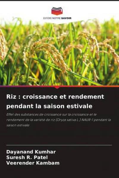 Riz : croissance et rendement pendant la saison estivale