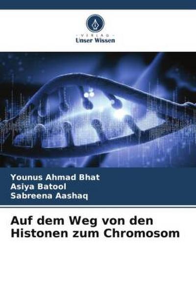 Auf dem Weg von den Histonen zum Chromosom