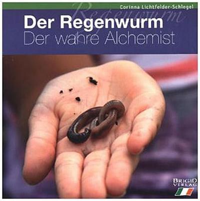 Der Regenwurm