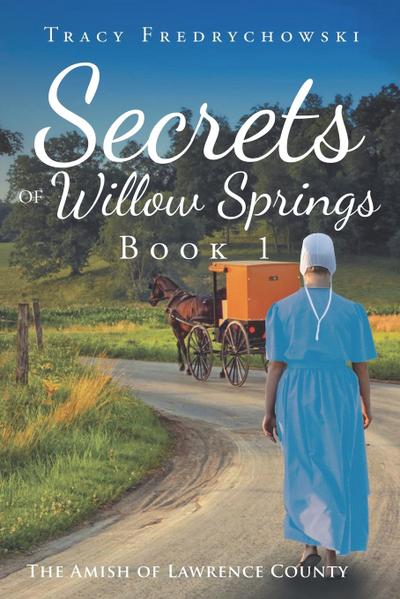Secrets of Willow Springs - Book 1
