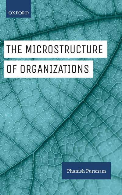 The Microstructure of Organizations