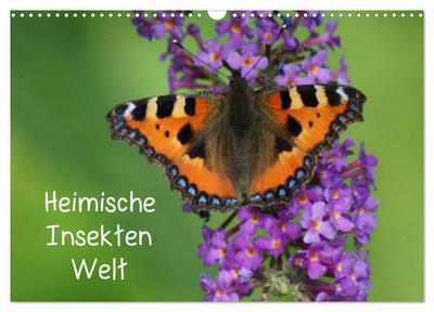 Heimische Insekten Welten (Wandkalender 2024 DIN A3 quer), CALVENDO Monatskalender