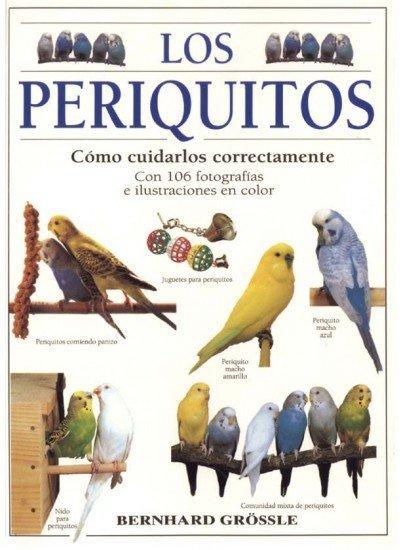 Los periquitos : cómo cuidarlos correctamente