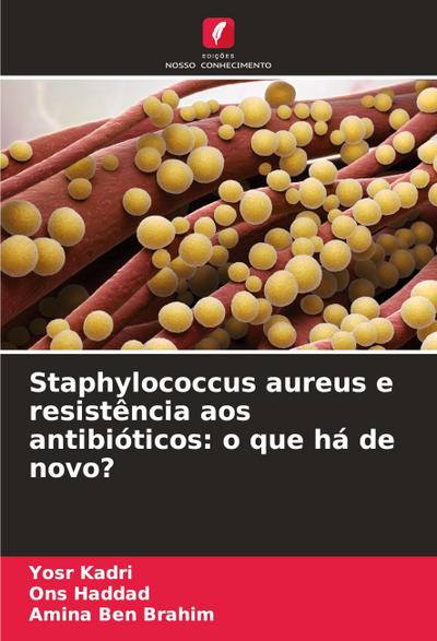 Staphylococcus aureus e resistência aos antibióticos: o que há de novo?
