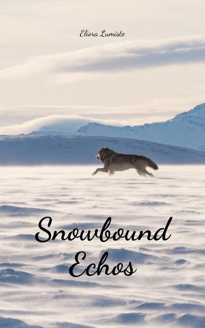 Snowbound Echos
