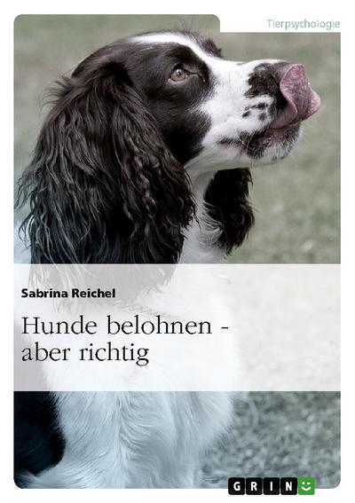 Hunde belohnen - aber richtig