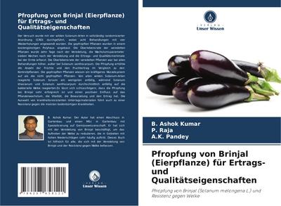 Pfropfung von Brinjal (Eierpflanze) für Ertrags- und Qualitätseigenschaften
