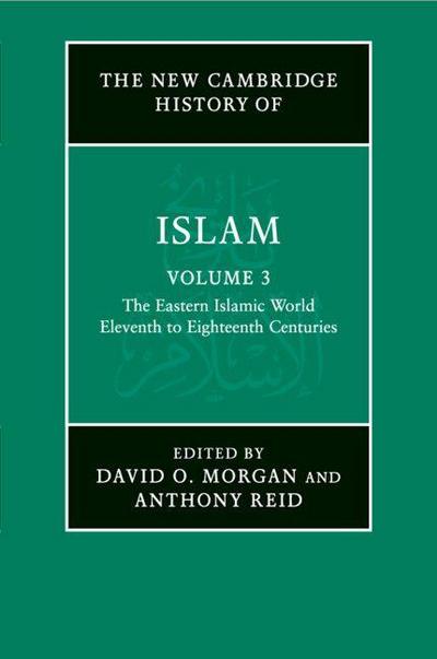 The New Cambridge History of Islam