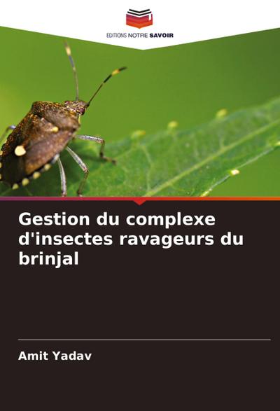 Gestion du complexe d’insectes ravageurs du brinjal
