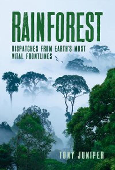 Rainforest