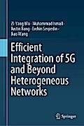 Efficient Integration of 5G and Beyond Heterogeneous Networks