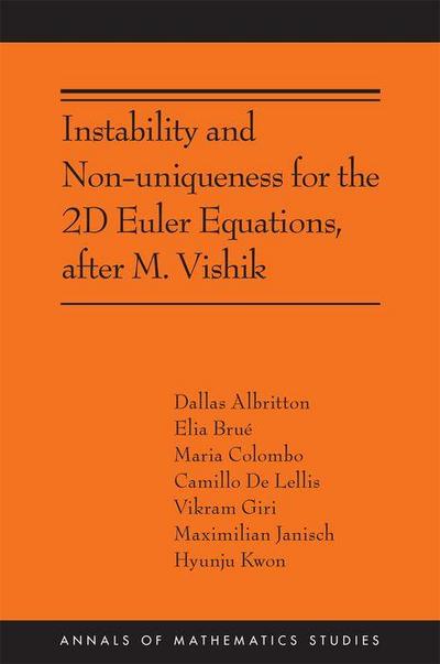Instability and Non-Uniqueness for the 2D Euler Equations, After M. Vishik