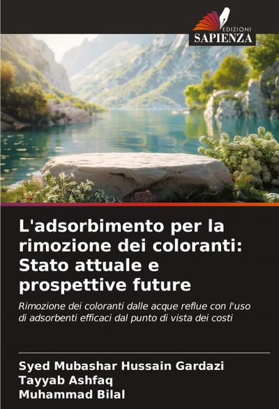 L’adsorbimento per la rimozione dei coloranti: Stato attuale e prospettive future