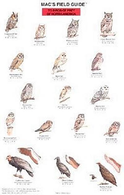Mac’s Field Guides: North American Birds of Prey