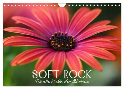 Soft Rock - Visuelle Musik der Blumen (Wandkalender 2024 DIN A4 quer), CALVENDO Monatskalender