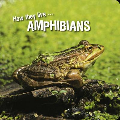 How they live... Amphibians