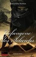 Gefangene des Scheichs: Erotischer Roman