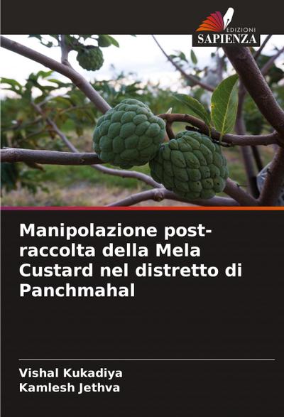 Manipolazione post-raccolta della Mela Custard nel distretto di Panchmahal