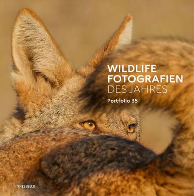 Wildlife Fotografien des Jahres - Portfolio 35