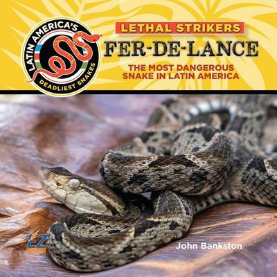 Fer-De-Lance: The Most Dangerous Snake in Latin America