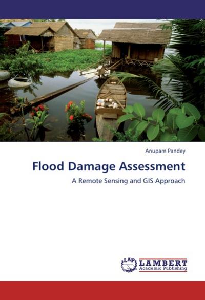 Flood Damage Assessment