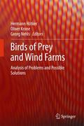 Birds of Prey and Wind Farms