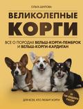 Velikolepnye korgi. Vse o porodah velshkorgipembrok i velshkorgikardigan