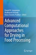 Advanced Computational Approaches for Drying in Food Processing
