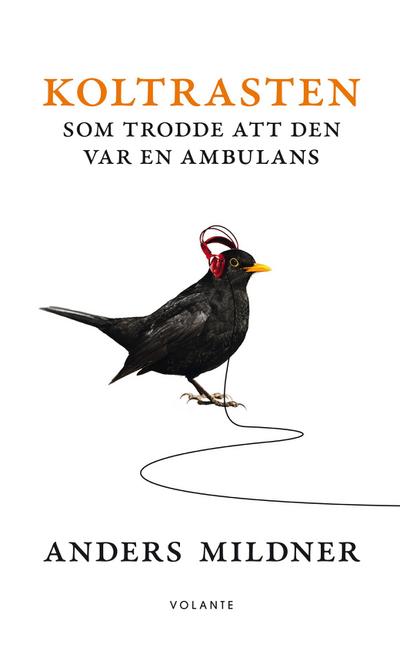 Koltrasten som trodde att den var en ambulans