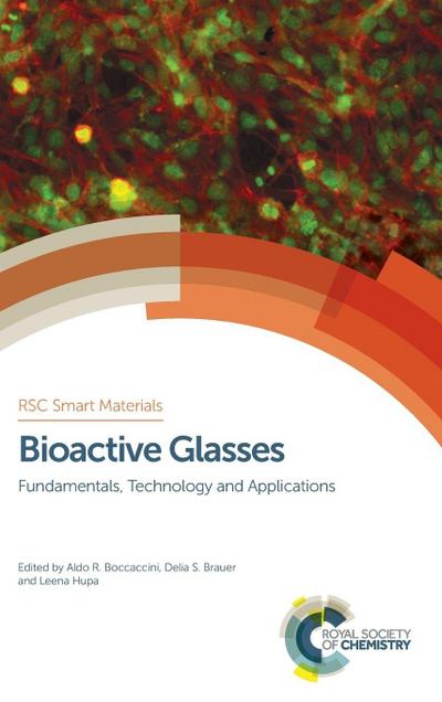 Bioactive Glasses