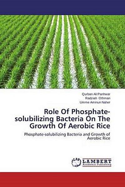 Role Of Phosphate-solubilizing Bacteria On The Growth Of Aerobic Rice