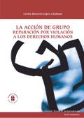 La acción de grupo