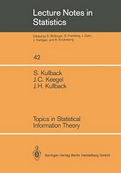 Topics in Statistical Information Theory
