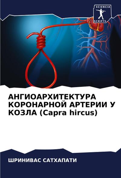 ANGIOARHITEKTURA KORONARNOJ ARTERII U KOZLA (Capra hircus)