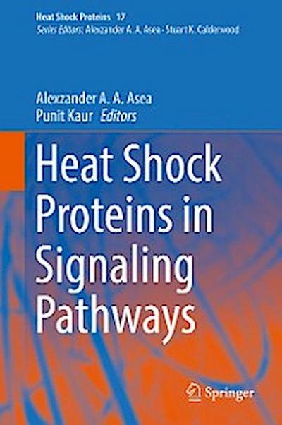 Heat Shock Proteins in Signaling Pathways