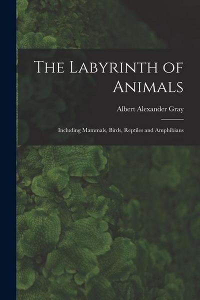 The Labyrinth of Animals: Including Mammals, Birds, Reptiles and Amphibians