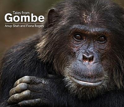 Tales from Gombe