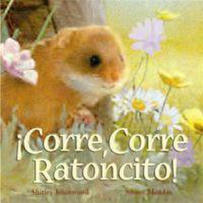 ¡Corre, corre, ratoncito!